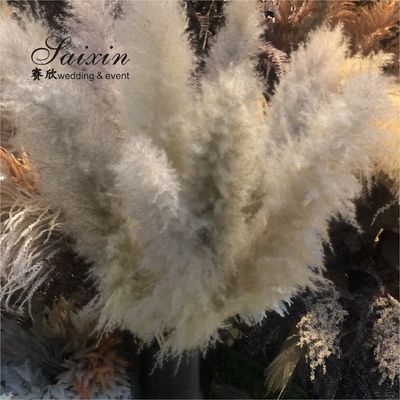 Wholesale Large fluffy Pampas grass bouquet  Artificial flowers for wedding decoration