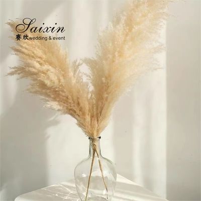 Wholesale Large fluffy Pampas grass bouquet  Artificial flowers for wedding decoration